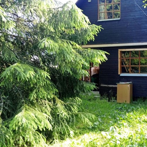 Коттедж/дом Корела СНТ, улица Озерная, 96