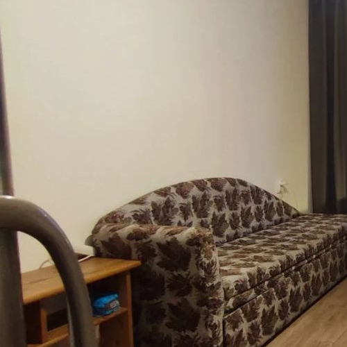 1-комн квартира д. Новое Девяткино, улица Энергетиков, 8