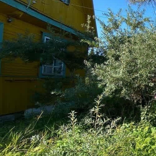 Коттедж/дом Пупышево садоводческий массив, Автомобилист СНТ, 8-я линия