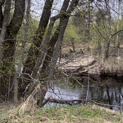 Коттедж/дом д. Шамокша, улица Сельская, 3