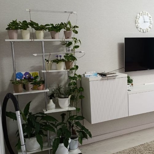 1-комн квартира Колпино, шоссе Вознесенское, 49к2