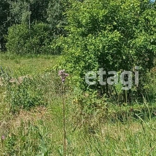 Коттедж/дом Южное СНТ, улица 4-я Садовая