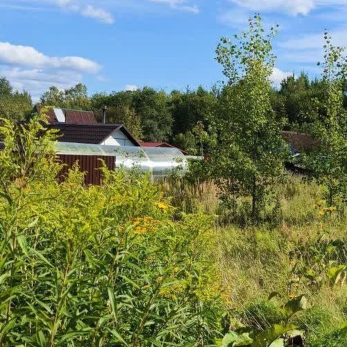 Земельный участок Механизатор СНТ, улица 1-я