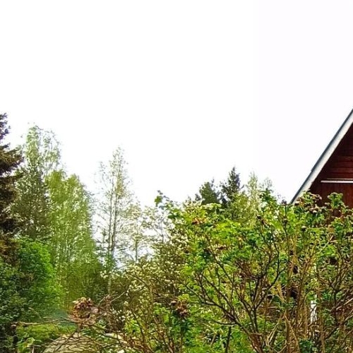 Коттедж/дом пос. Лейпясуо, Буревестник СНТ, 231