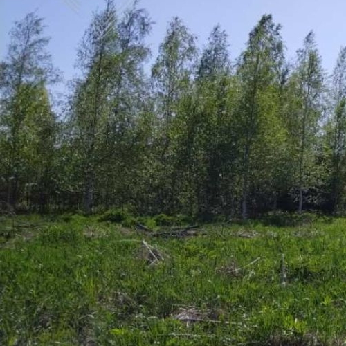 Земельный участок Ойнелово массив, улица Лесная