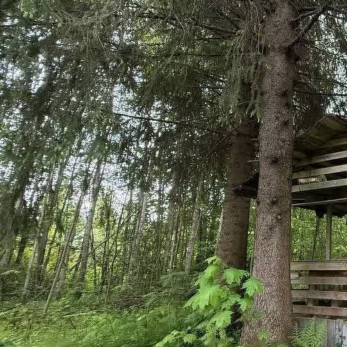 Коттедж/дом Пупышево садоводческий массив, Искра СНТ