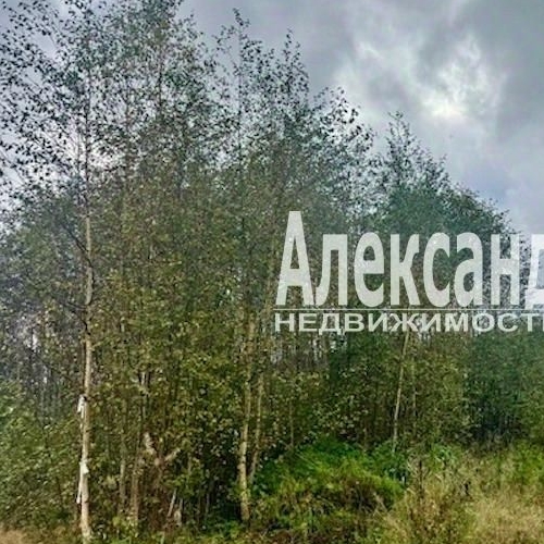 Земельный участок Поселок Большое Поле, проезд 1-й Береговой