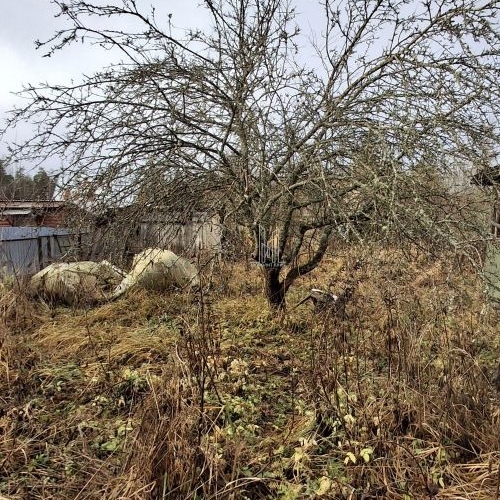 Земельный участок Массив Дивенская тер, Дивное тер снт