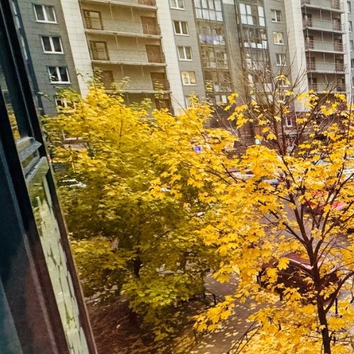 1-комн квартира улица Русановская, 19к2