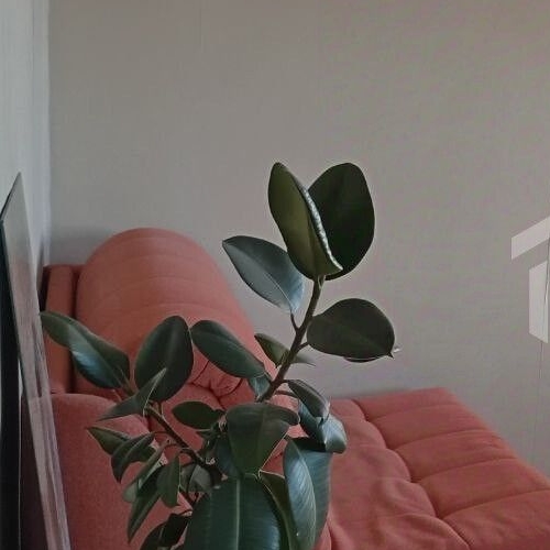 2-комн квартира Петергоф, Ропшинское шоссе, 3к4