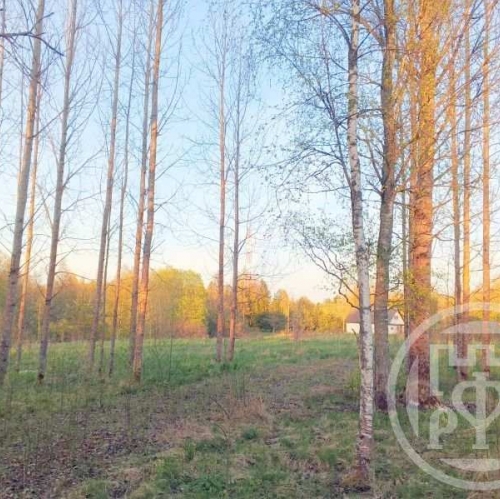 Земельный участок Правдино пос.