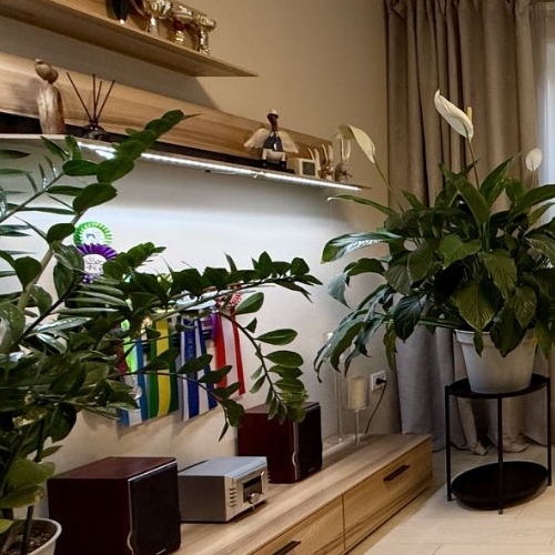 3-комн квартира Комендантский проспект, 30К1