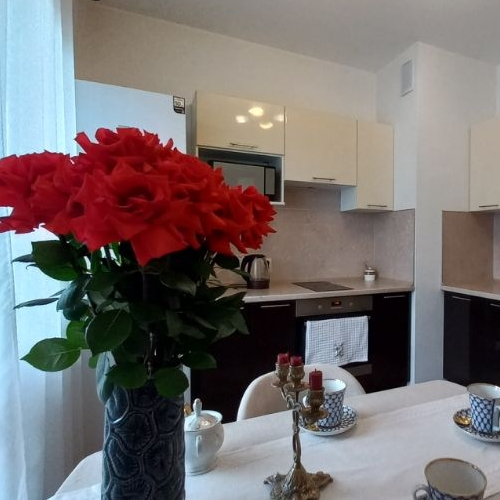 1-комн квартира Южное шоссе, 53к3