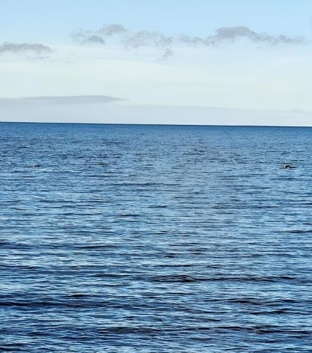 2-комн квартира проспект Патриотов, 34