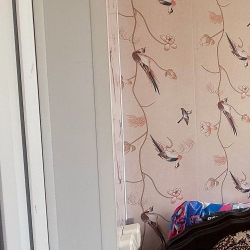 2-комн квартира пос. Янино-1, переулок Мельничный, 1к1