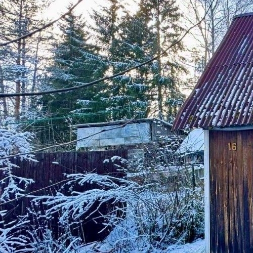 Коттедж/дом Мшинская садоводческий массив, Буревестник СНТ, улица Зеленая,  д. 16
