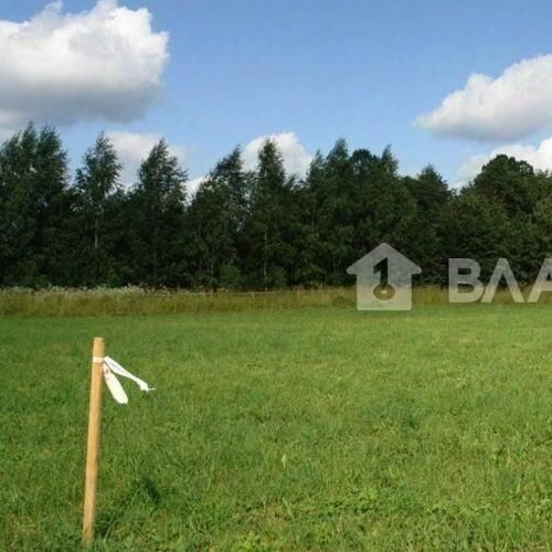 Земельный участок с. Русско-Высоцкое, переулок Светлый, 19