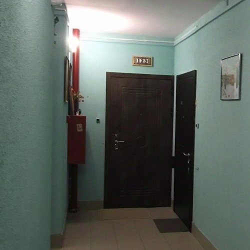 2-комн квартира Колтуши, улица Иоанна Кронштадтского, 1