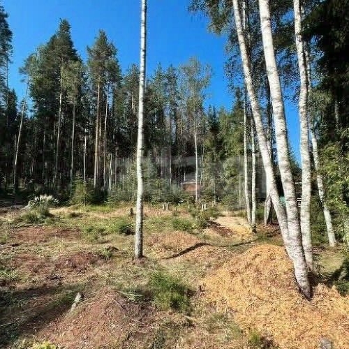 Земельный участок ДНП Лесной хут., д. Сарженка