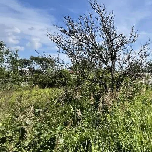 Коттедж/дом Рассвет СНТ, улица 16-я