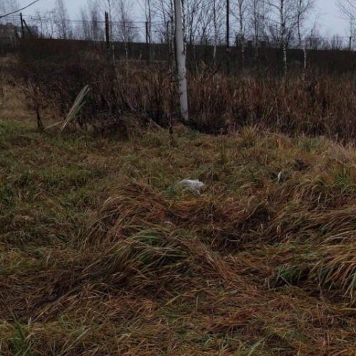 Земельный участок пос. Новый Свет, улица Долгая, 26