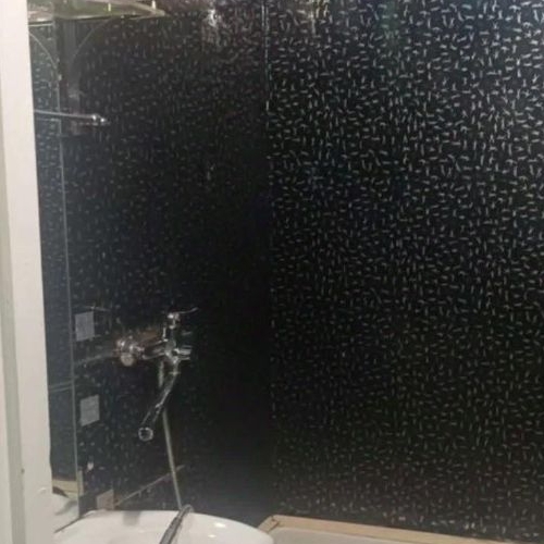 1-комн квартира Всеволожск, улица Балашова, 3к2