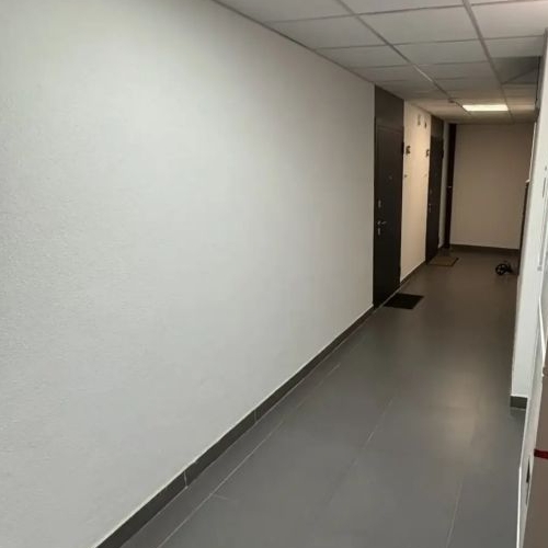 Студия пос. Парголово, Заречная улица, 38к2