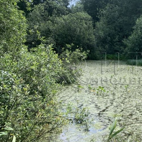 Коттедж/дом д. Рахковичи, 46