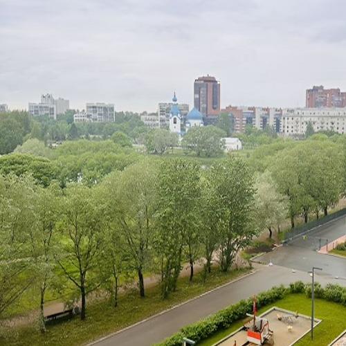 1-комн квартира Московское шоссе, 3к5