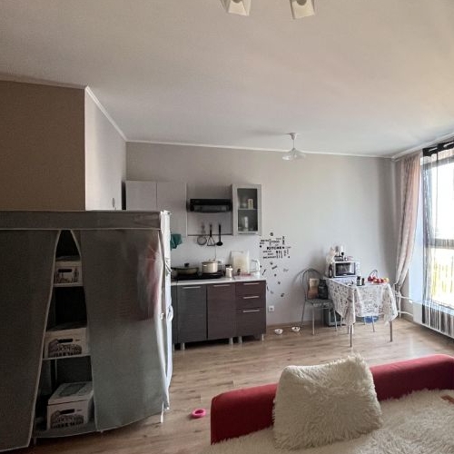 Студия пос. Парголово, проезд Толубеевский, 8к2