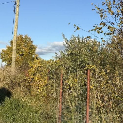 Земельный участок Волжа СНТ, улица 3-я, 14