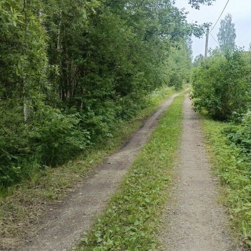 Коттедж/дом Пупышево садоводческий массив, Фрегат СНТ, улица Строителей, 532