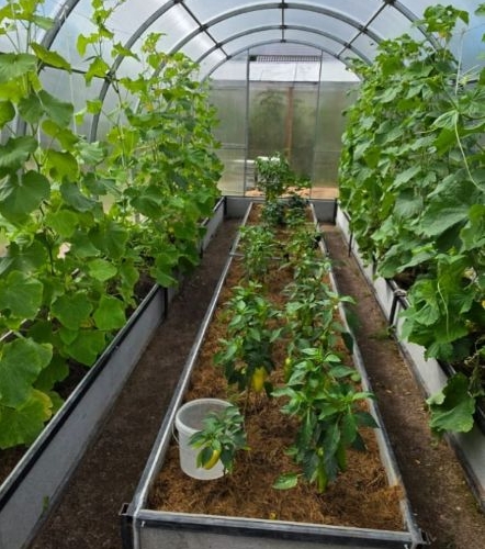 Коттедж/дом Новинка садоводческий массив, София СНТ