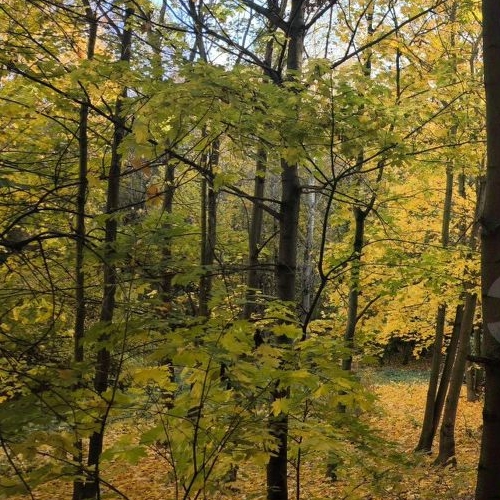 4-комн квартира улица Костюшко, 90