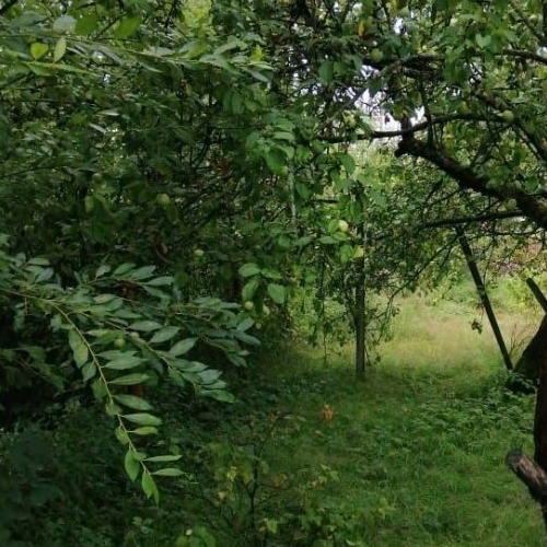 Коттедж/дом Росполиграфтехника СНТ, 2-я линия