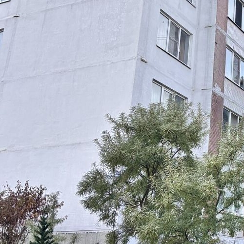 1-комн квартира д. Оржицы, 22