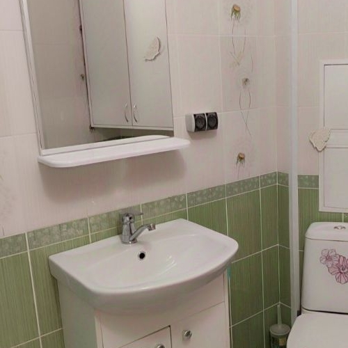 Студия Всеволожск, улица Шишканя, 14