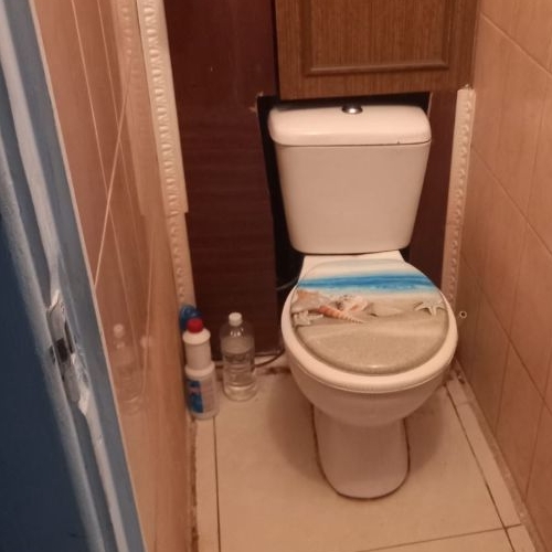 1-комн квартира пос. Торковичи, улица Победы, 9