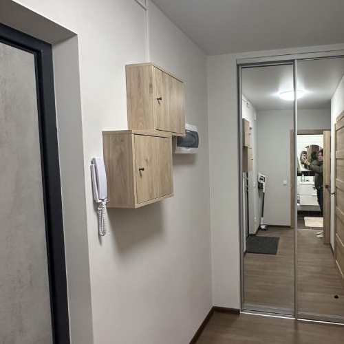 1-комн квартира Всеволожск, шоссе Дорога Жизни, 7к2