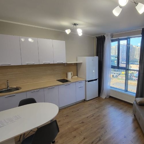 Студия пос. Парголово, проезд Толубеевский,  д. 8к2