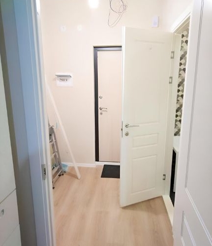 Студия пос. Янино-1, улица Ясная, 17к1