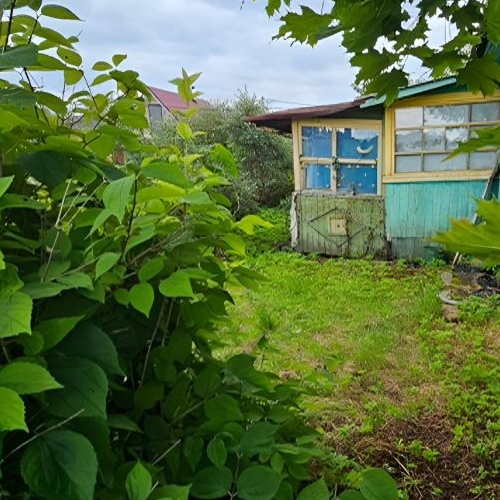 Коттедж/дом Лесное СНТ, 16-я линия