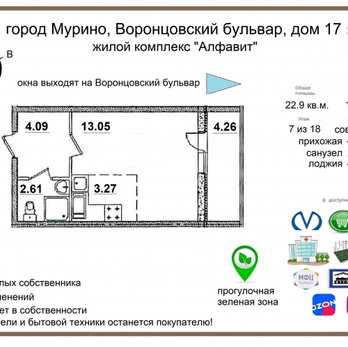 Студия Мурино г, Воронцовский б-р,  д. 17