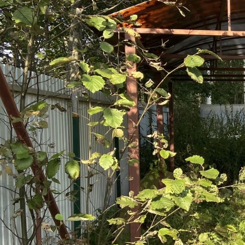 Коттедж/дом Рябово-Хутора садоводческий массив, Ива СНТ