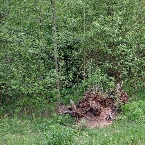 Земельный участок Ключи СНТ