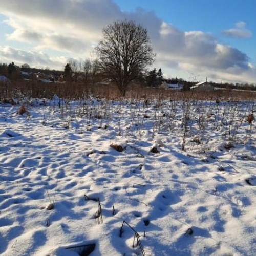 Земельный участок д. Старые Низковицы, 35