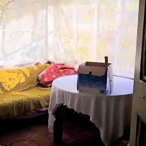 Коттедж/дом Васкелово садоводческий массив, Троицкое-4 СНТ,  д. 99