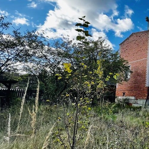 Коттедж/дом Мяглово-Карьер садоводческий массив, Керамика СНТ, 16-я линия,  д. 691