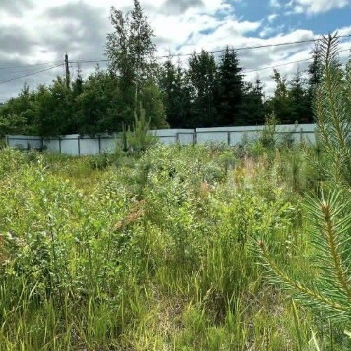 Земельный участок Ветеран-1 ДПК,  д. 30