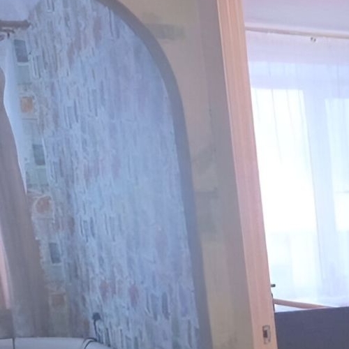 1-комн квартира пос. Большие Лучки, Сланцы, улица Жуковского, 10